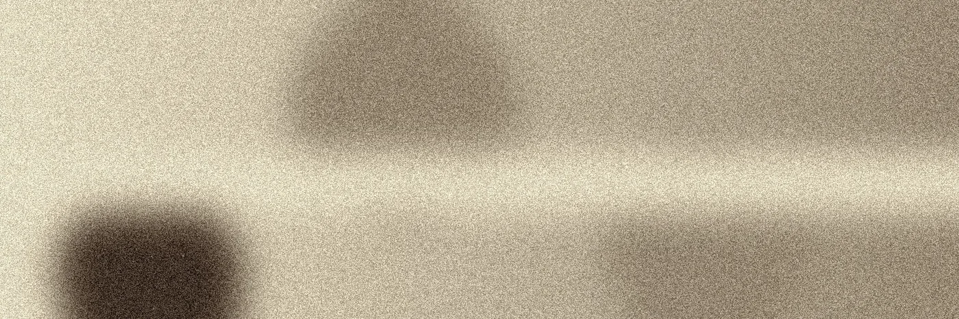 Mirela Costin banner image